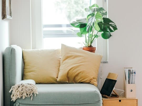 A french bull dog lounging on top of a couch in a living room nook.